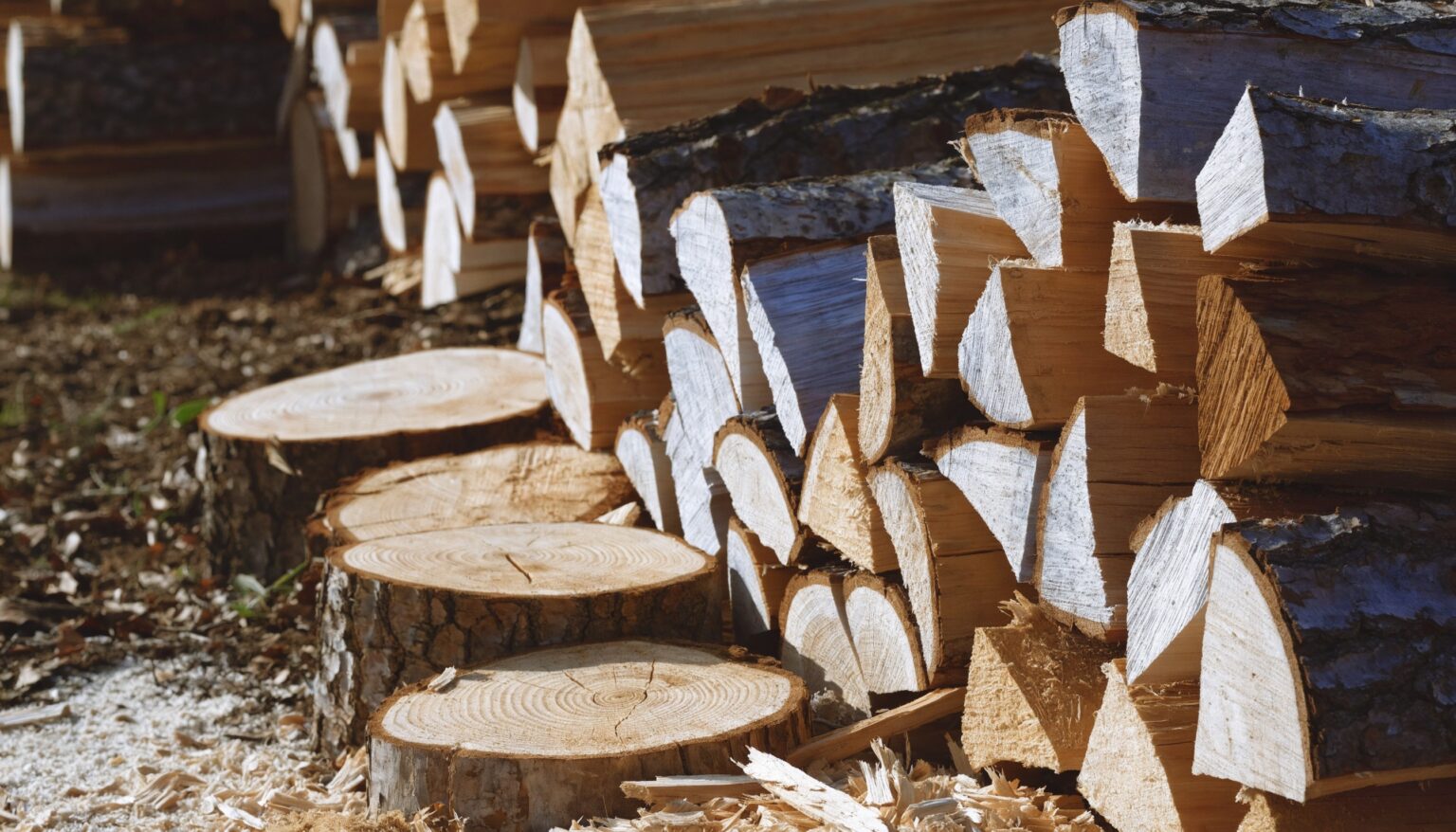 Frisch gespaltenes Brennholz mit Stammscheiben, Jahresringen und Sägespänen im Freien